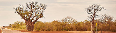 The Fitzroy Valley